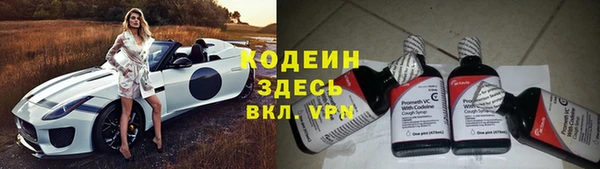 сатива Каменск-Шахтинский