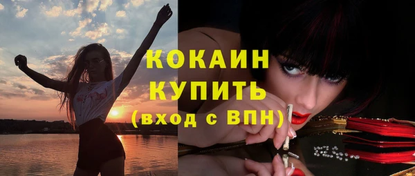 сатива Каменск-Шахтинский