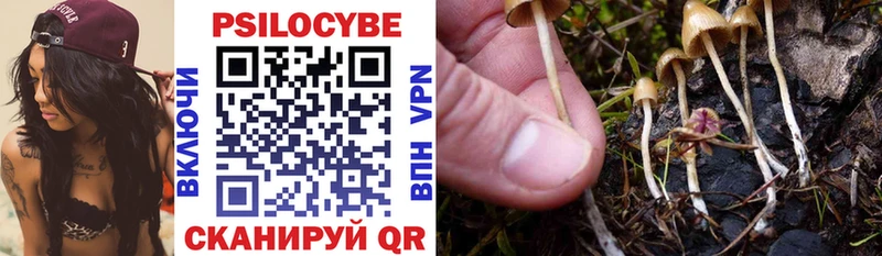 Купить  Кораблино  Псилоцибиновые грибы прущие грибы 